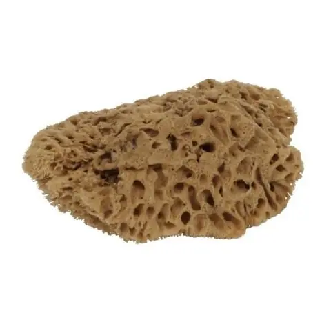 Reapris Mäster 271351 Natursvamp